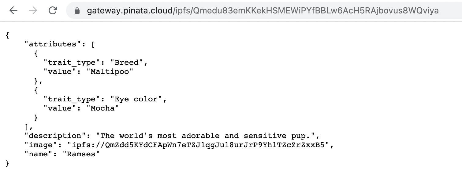 Your page should display the json metadata